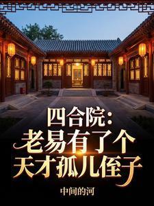 四合院：老易有了个天才孤儿侄子